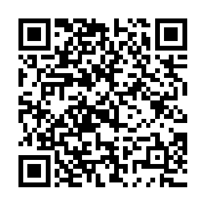 别……我还没死……没死呢……范师兄……吕师姐……二维码生成