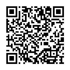 别以为你是首长派来的你就可以在我面前装首长二维码生成