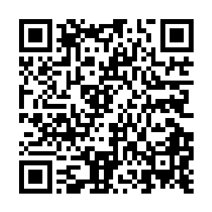 别看天界的这些族长和修士们现在都老实得不得了二维码生成