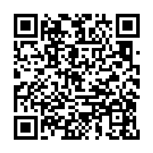 别看她冷冰冰的跟个不食人间烟火的小仙女似的二维码生成