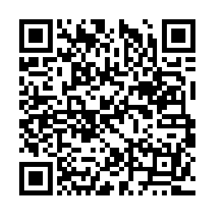 别看它们似乎都只是待在自己的地盘上一动不动的二维码生成