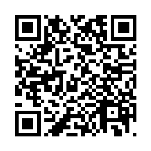 别看它长得似乎比周围的大树都瘦弱二维码生成