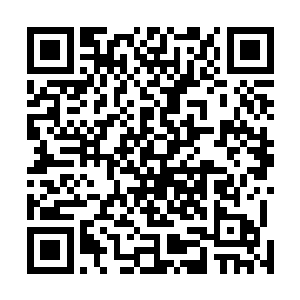 别看自从进入职业圈以来陈诚已经跟许多职业选手交过手二维码生成