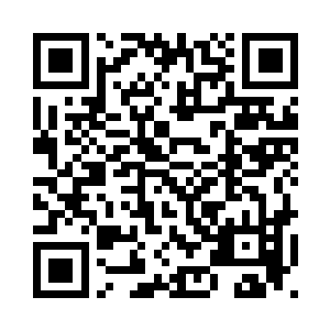 别看虚无痕身上到处都是细小洞口二维码生成