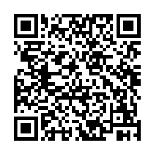 别看龙战像一把随时准备攻击的武器或者蓄势待发的野兽二维码生成
