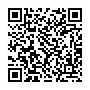 别说他们现在被三十六洞天福地的传奇宗师给拦着二维码生成