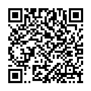 别说他是下令让深渊各层血祭五分之一的人口了二维码生成