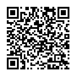 别说是齐一铭了连坐在对面的贝海都有点儿快受不了这速度了二维码生成