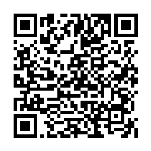 别说眼前这新上任的县令只是东路指挥使的公子二维码生成
