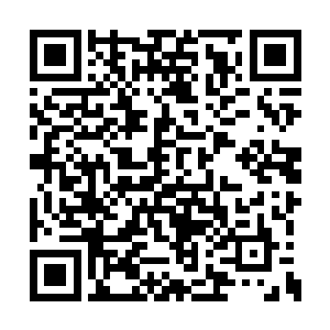 别说签订这样的契约自己的生死被这丹药所掌控二维码生成