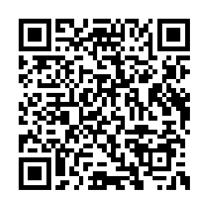 别说风清扬在这灭世神雷之下毫无一点反抗之力二维码生成