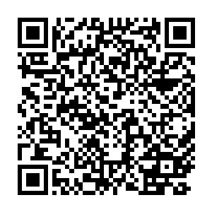 到了中国凭着这张洋鬼子脸一些外国穷鬼时不时连找女人的钱都能省了二维码生成