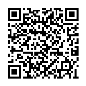 到了令对面两个三级晶化巫师都恐惧不已的程度二维码生成