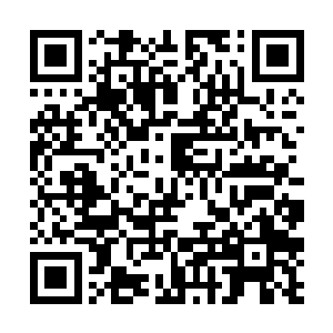 到了天武域过往的荣誉在此已经显得黯然失色了许多二维码生成