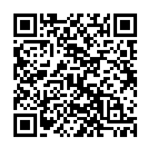 到了这个地步亚德里恩也不敢再发出任何自己的意见了二维码生成