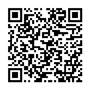 到了这个时候也没有几个人会无聊到去注意选手们的表情和动作二维码生成