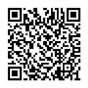 到了这时候你已经不能说他们是单纯的为了财富二维码生成