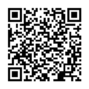 到了门口就瞧见正厅里面影影绰绰地坐了好几个人呢二维码生成