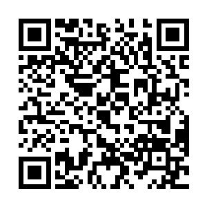 到了院子顾不上放下篓子上气不接下气的跟凌菲解释道二维码生成