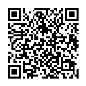 到处都是暴乱与抢劫……市长已经宣布高谭市处于紧急状态二维码生成