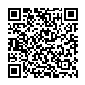 到实际上掌控权已经由草原神殿转移到了神秘人手中二维码生成