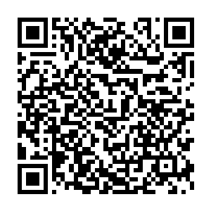 到底是什么魔力在驱使这些能够上天入地的修士们不顾性命的前仆后继二维码生成