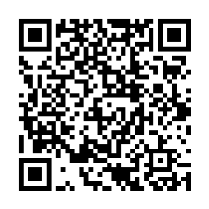 到底是老龙王和我斗医还是你这个乌龟和我斗医啊二维码生成