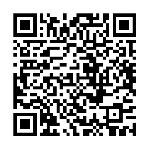 到时候不止会刨根寻底去追踪这么多年你去哪里了二维码生成