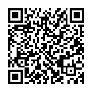 到时候他的私人空间也会逐渐演变成一个可以储藏活物的小世界二维码生成