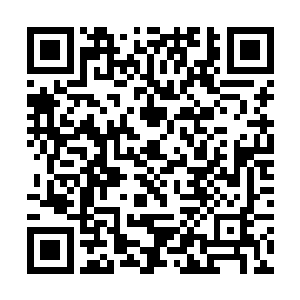 到时候你们是不是打算一句误杀就让这件事平息下来二维码生成