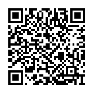 到时候你服用之后修为应该可以提升到人尊境界二维码生成