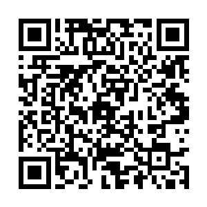 到时候你若是能说出我给你炼制的法宝有半点不好二维码生成