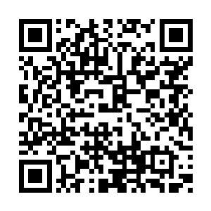 到时候你觉得你还会坐在莱塔城的总统宝座上么二维码生成