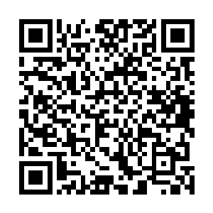 到时候再把录像回放功能放一遍一切就都能够真相大白了二维码生成