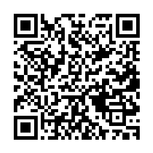 到时候如果他们正背着司徒药师回来……想想都觉得好危险啊二维码生成