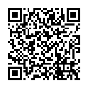 到时候就算把斑点的魂魄给弄到那好运鸟身体里二维码生成