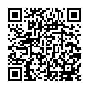 到时候怎么在下葬的时候将娑娜换出来这才是最为关键的一步二维码生成