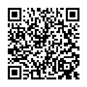 到时候我们虫界就算没有毁在天庭和楚旬他们手上二维码生成