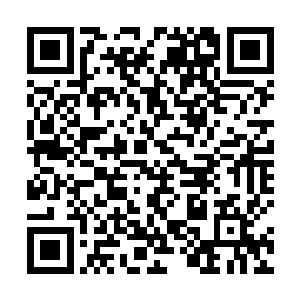 到时候我会让咱们的城市变成整个中三界最顶级的城市二维码生成