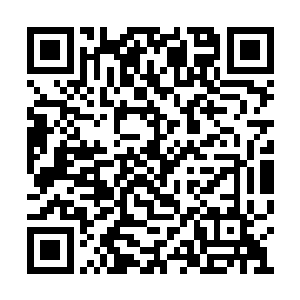 到时候无论去人族的血墓陵园还是悬天江都顺路二维码生成