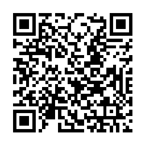 到时候老鼠的身体里面真的长出一条条噬血蛇的话二维码生成