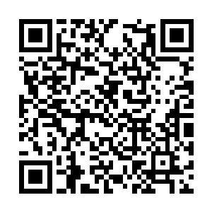 到时我大宋的货币将会跟随这羊毛流到他们国家去二维码生成