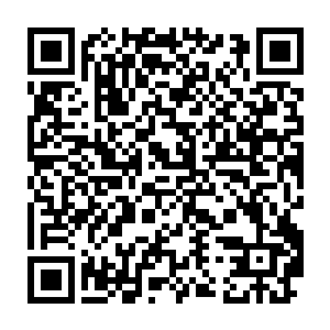 到是大院里的这些人还是头一次看到除了张秀枝以外的张秀兰家人二维码生成