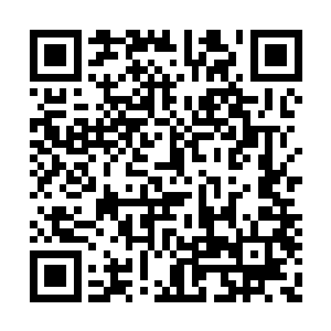 到现在都还认为那里是一个培养职业杀手的地方二维码生成