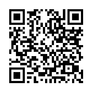 到食堂后面的小弄去看看那些可爱的流浪狗二维码生成