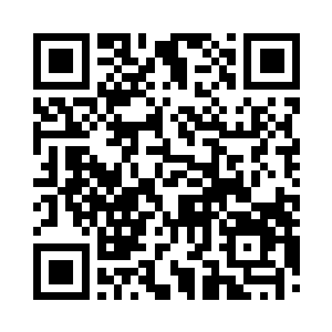 制造商会按照客户选择的方案去装修机舱二维码生成