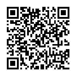 刹时心情就因这些纨绔子弟围堵而造成的阴郁也没有了二维码生成