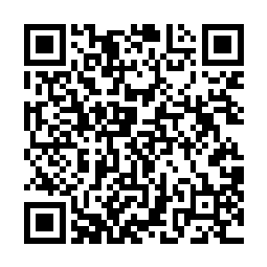 刹那间一股充满了毁灭气息也是从龙傲天的身上散发出来二维码生成