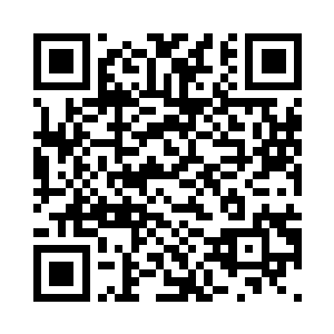 刹那间便刷在了须弥虫王的脑袋之上二维码生成