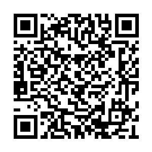 刺杀古丽巴多公主殿下的领域强者已经出现过了二维码生成